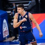 Bogdan Bogdanović