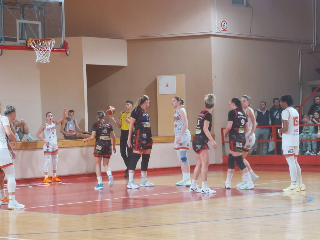 Orlovi-Mladi Krajišnik