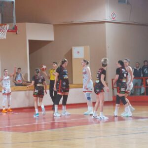 Orlovi-Mladi Krajišnik