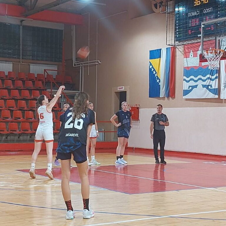Orlovi-Zenica