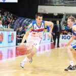 nikola pešaković