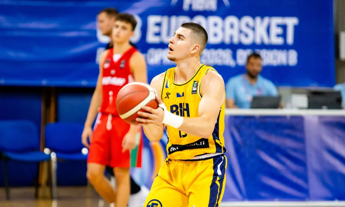 Dzenis Hodović