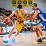 tarik hrelja